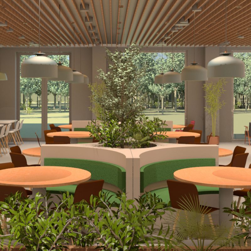dining area for restaurant and buffet design