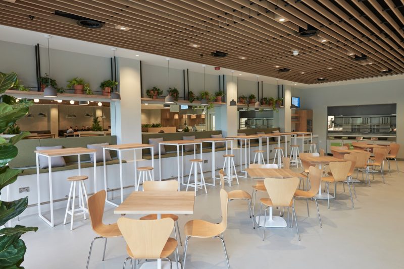 Pharmaceutical Office Cafeteria - Interior Design - Edge DPM